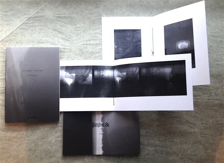 Arcalumis (2016) by Tom Rodgers